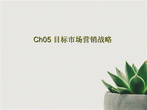 Ch05目标市场营销战略.ppt