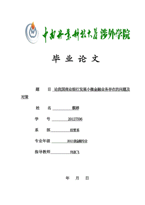 论我国商业银行发展小微金融业务存在的问题及对策毕业论文.doc