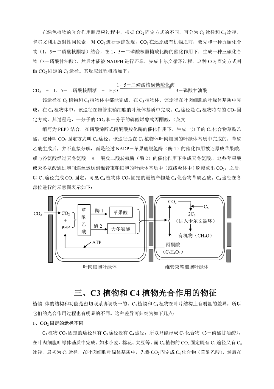 对C3植物和C4植物的认识.doc_第2页