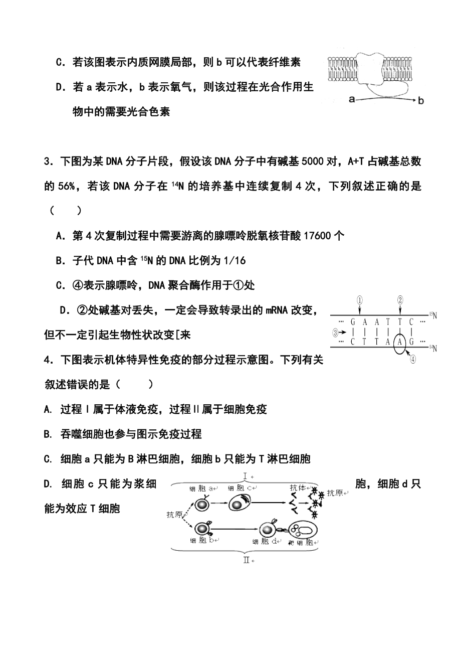 湖南省长沙县一中、浏阳一中、宁乡一中高三5月三校联考生物试题及答案.doc_第2页