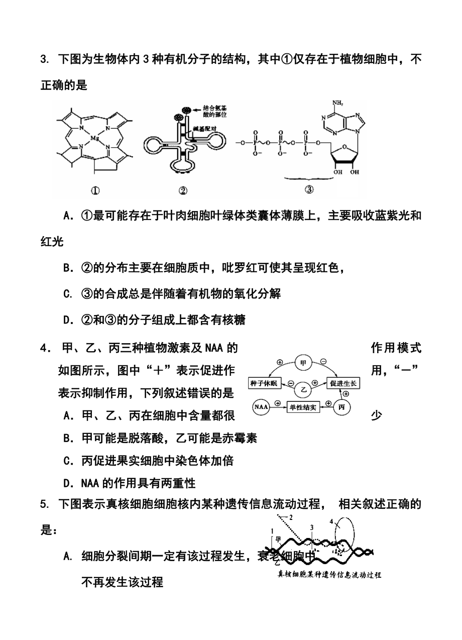 吉林省吉林市高三下学期第二次模拟考试理科综合试题及答案.doc_第2页