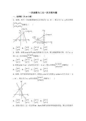 一次函数与二元一次方程专题.doc