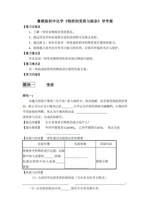 鲁教版初中化学《物质的变质与除杂》导学案.doc