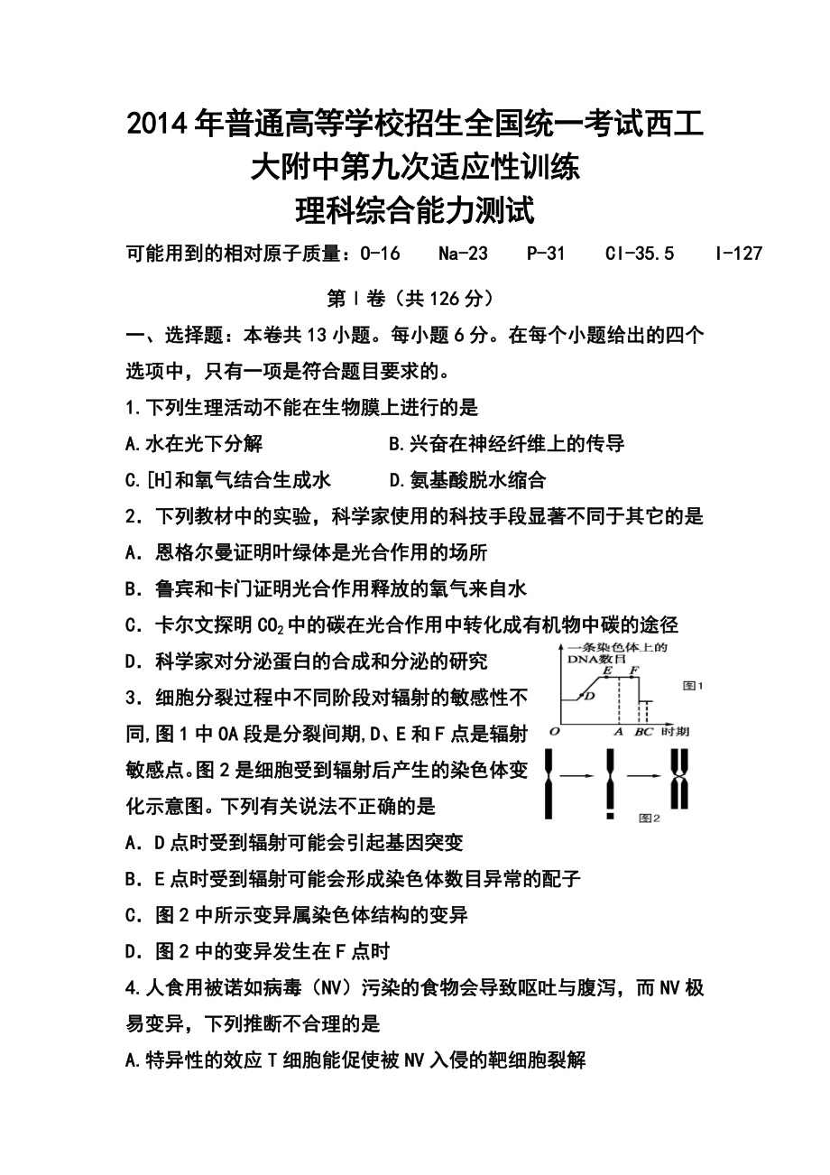 陕西省西工大附中高三下学期第九次适应性训练理科综合试题及答案.doc_第1页