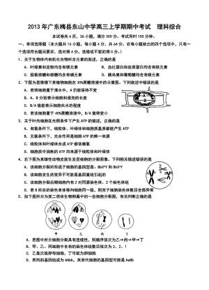 广东省梅县东山中学高三上学期期中考试理科综合试题及答案.doc