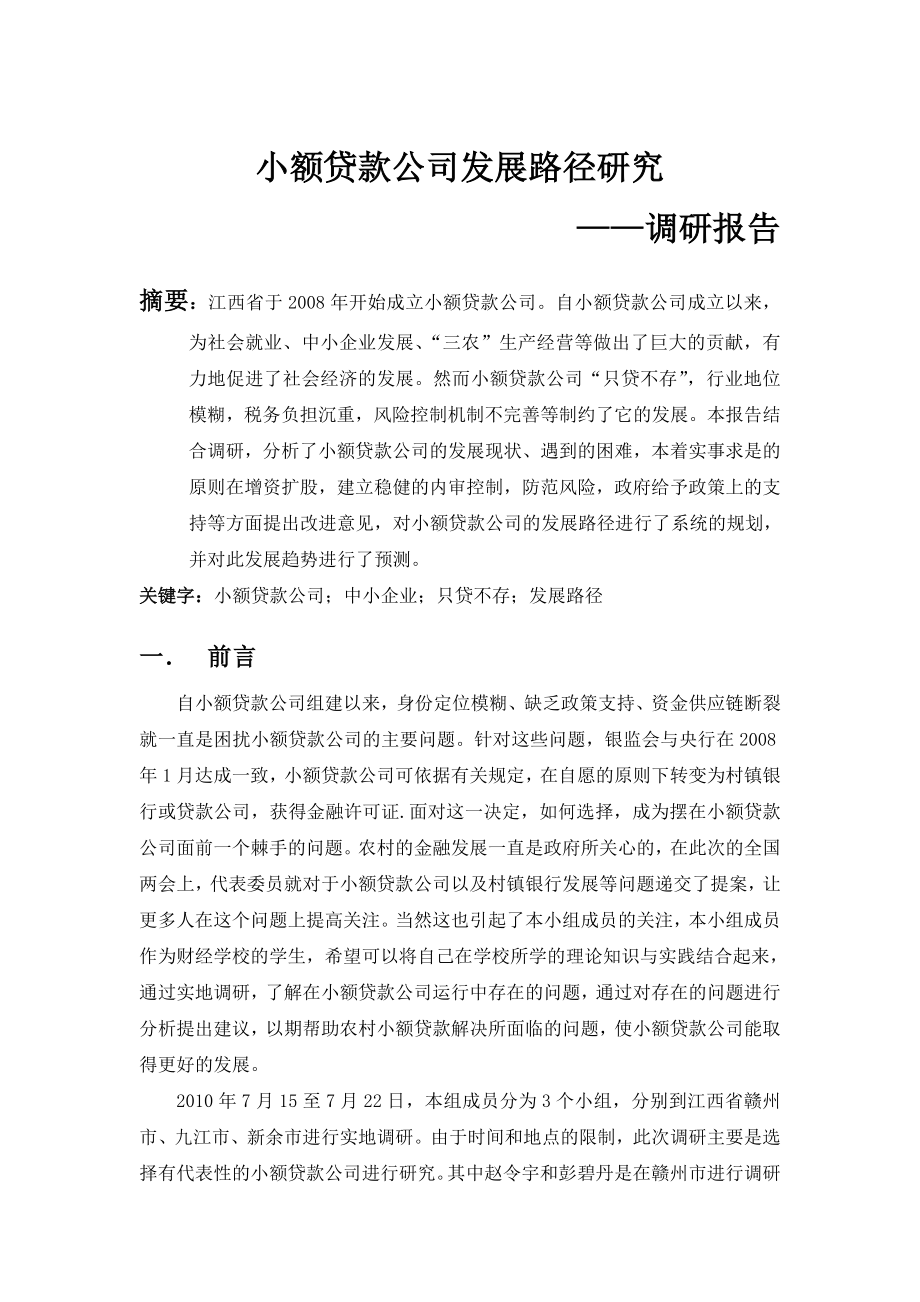 小额贷款公司发展路径研究调研报告.doc_第1页