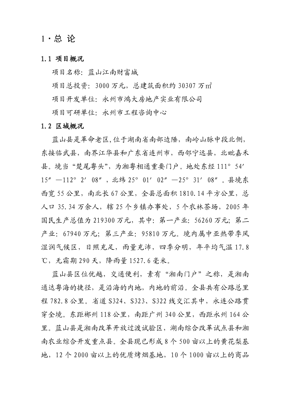 蓝山江南财富城项目可行性研究报告完成（正稿）.doc_第1页