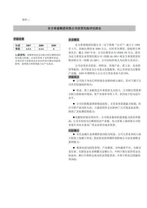 东方希望集团 信贷风险评估的报告.doc