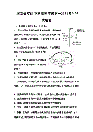 河南省实验中学高三上学期第一次月考生物试题 及答案.doc