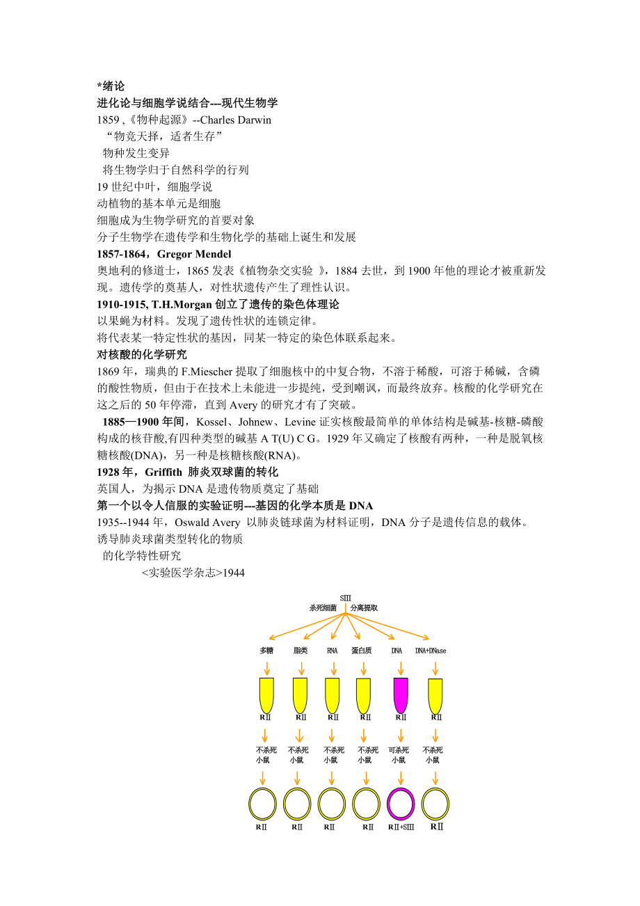 分子生物学完整版.doc_第2页