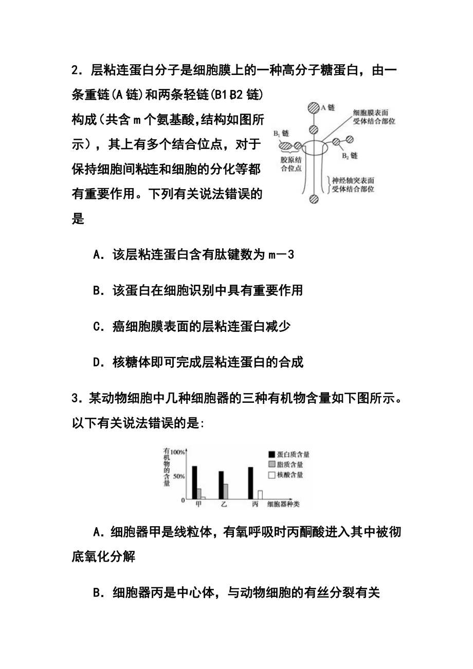 安徽省宿州市高三第一次教学质量检测生物试题 及答案.doc_第2页