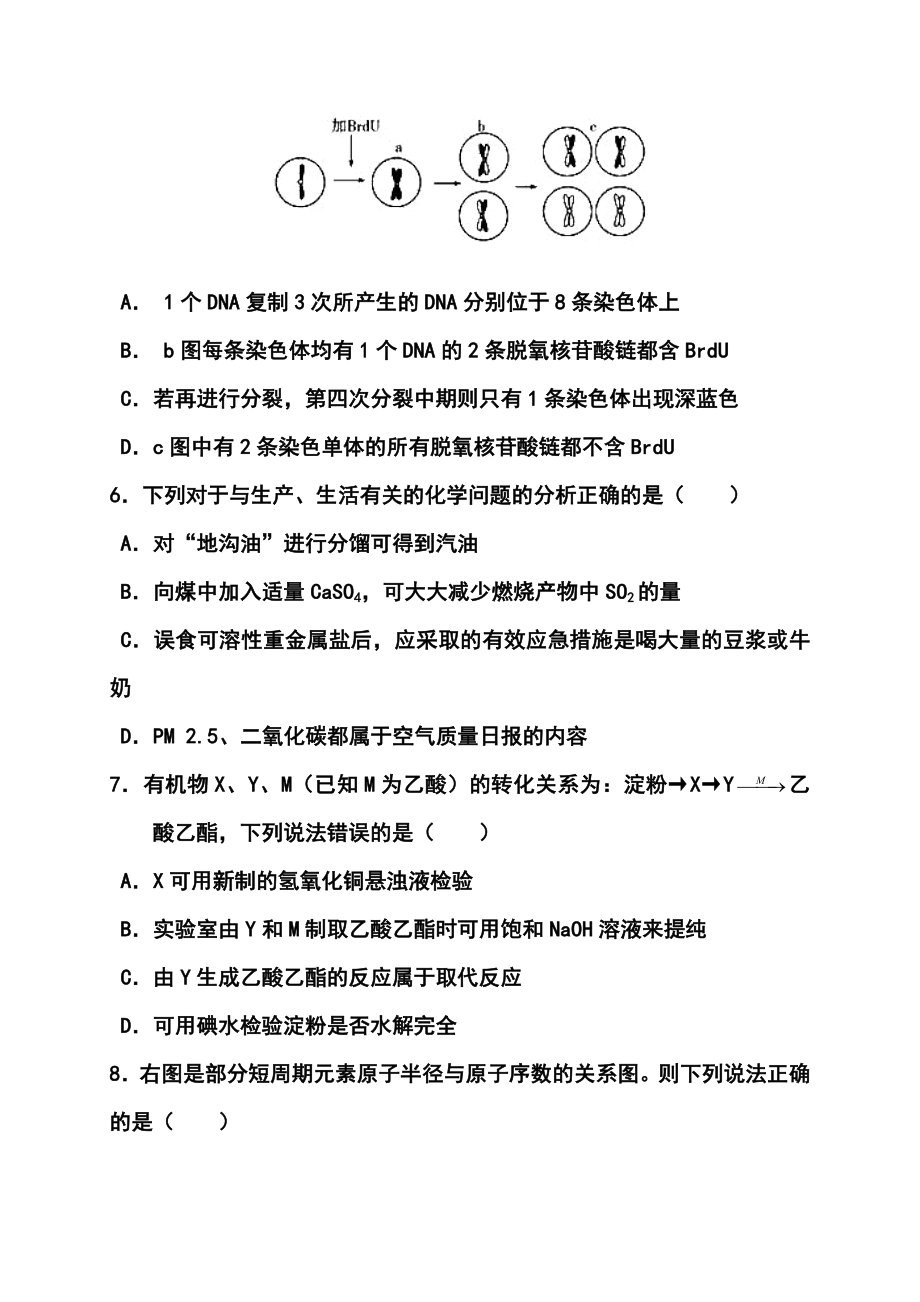 福建省福州一中高三5月校质检理科综合试题及答案.doc_第3页