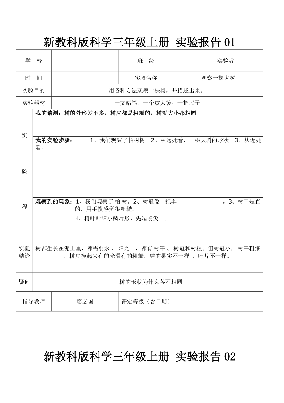 教科新版三年级上册科学实验报告单.doc_第1页