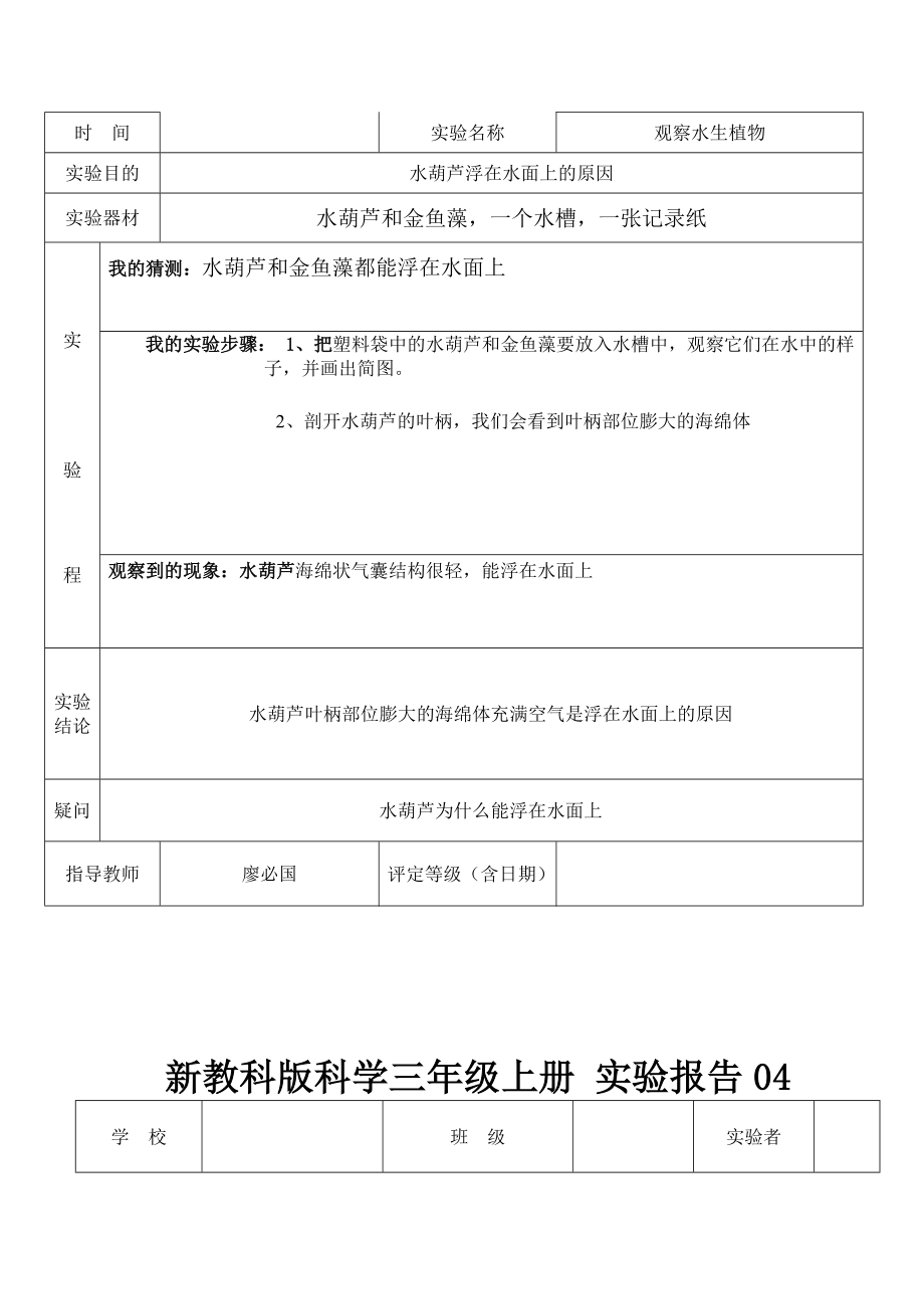 教科新版三年级上册科学实验报告单.doc_第3页