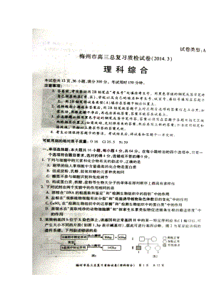 广东省梅州市高三总复习质检理科综合试题及答案.doc