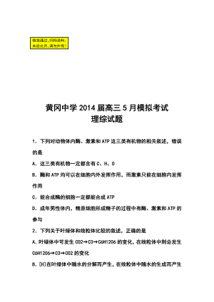 湖北省黄冈中学高三5月模拟考试理科综合试题及答案.doc