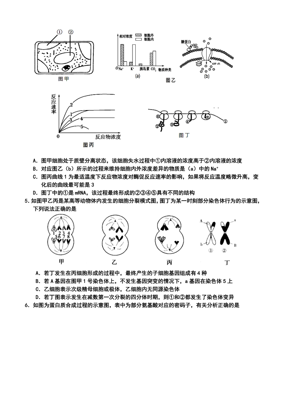 湖北省八校高三12月第一次联考理科综合试卷及答案.doc_第2页