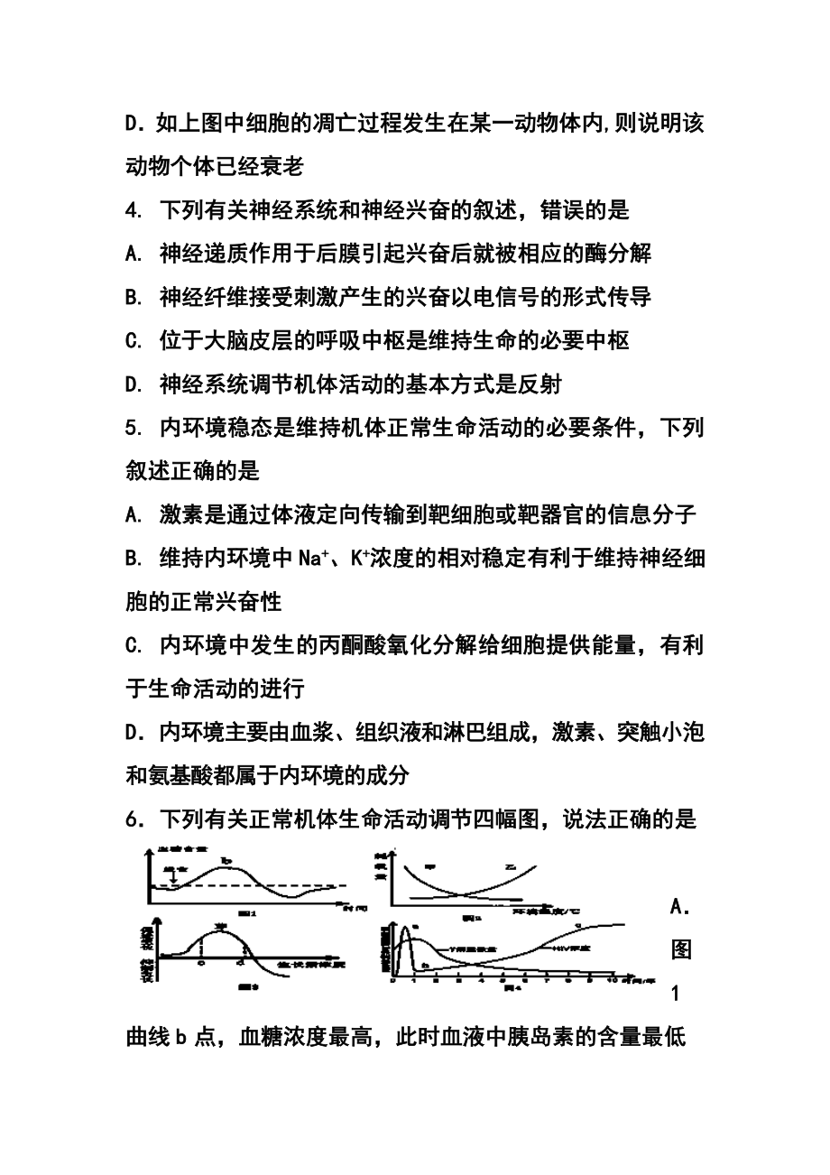 山东省文登市高三上学期第一次考试（11月）生物试题及答案.doc_第3页