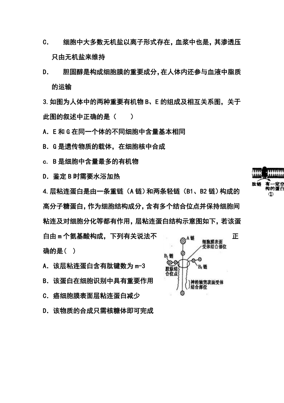 新疆兵团农二师华山中学高三上学期学前考试生物试题及答案.doc_第2页