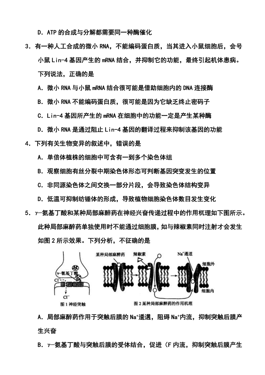 河南省郑州市、长葛市高三第三次质量检测生物试题及答案.doc_第2页