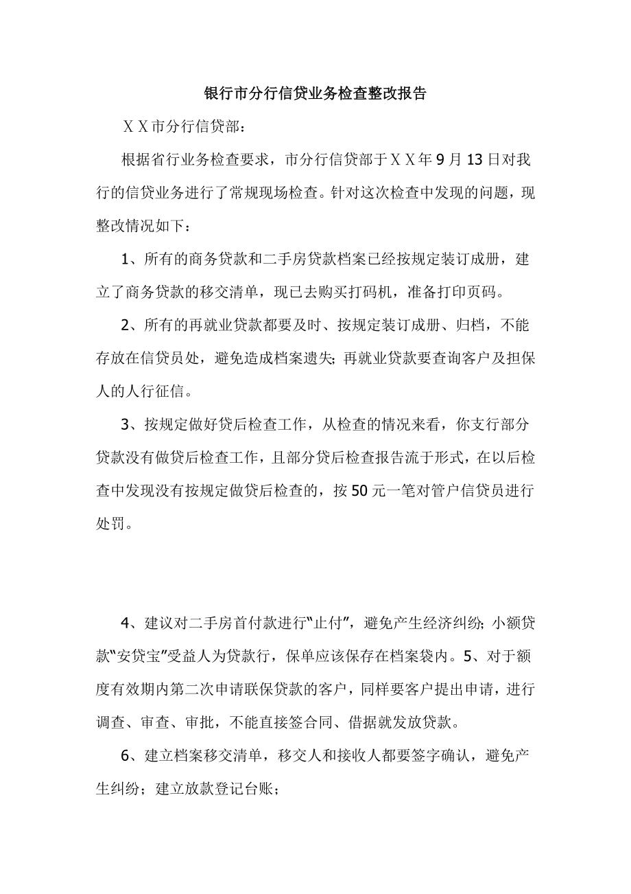 银行市分行信贷业务检查整改报告.doc_第1页