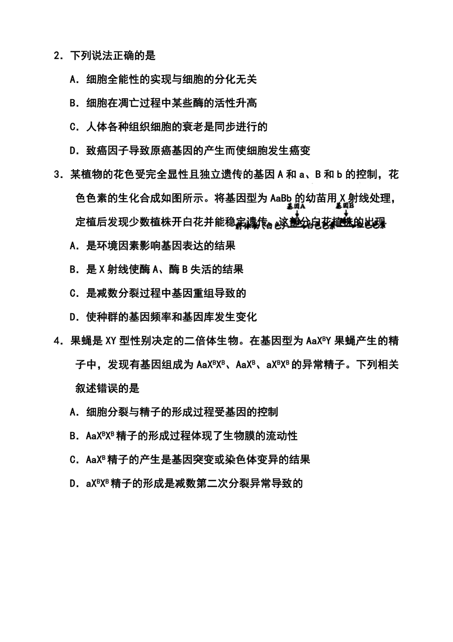 山东省淄博市高三复习阶段性诊断考试(二模)理科综合试题及答案.doc_第2页