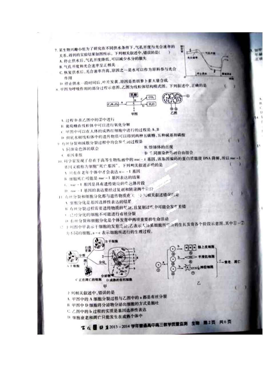 河北省百校联盟高三上学期第一次教学质量检测 生物试题及答案.doc_第2页