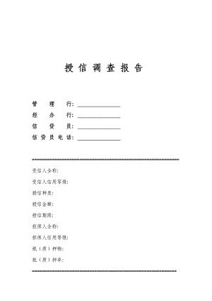 民生银行信贷部授信实战全套资料授信调查报告.doc