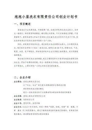 XX公司创业项目计划书.doc