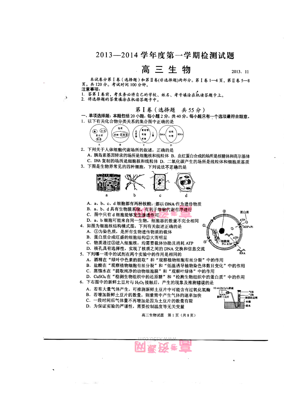 扬州市高三第一学期期中检测生物试题及答案.doc_第1页