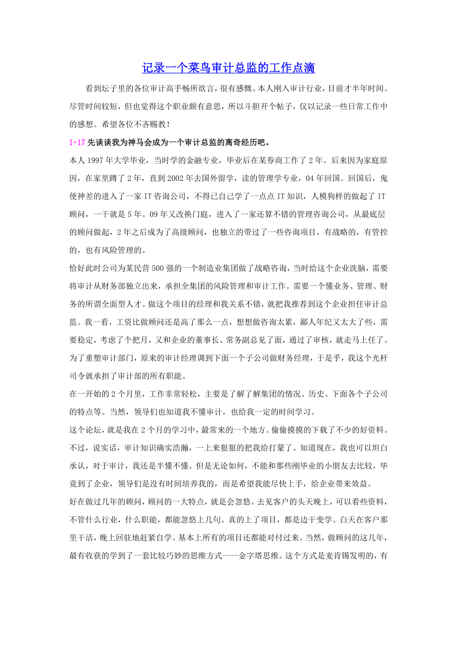 (财务内部审计)记录一个菜鸟审计总监的工作点滴.doc_第1页