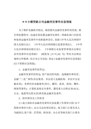 小额贷款公司金融突发事件应急预案.doc