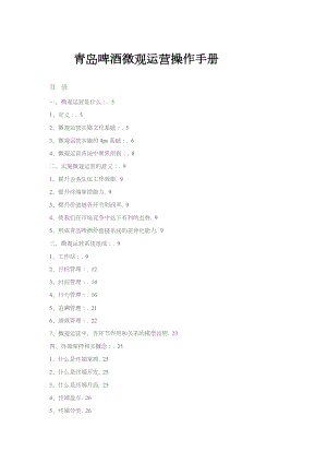 XX啤酒微观运营手册(调整).doc