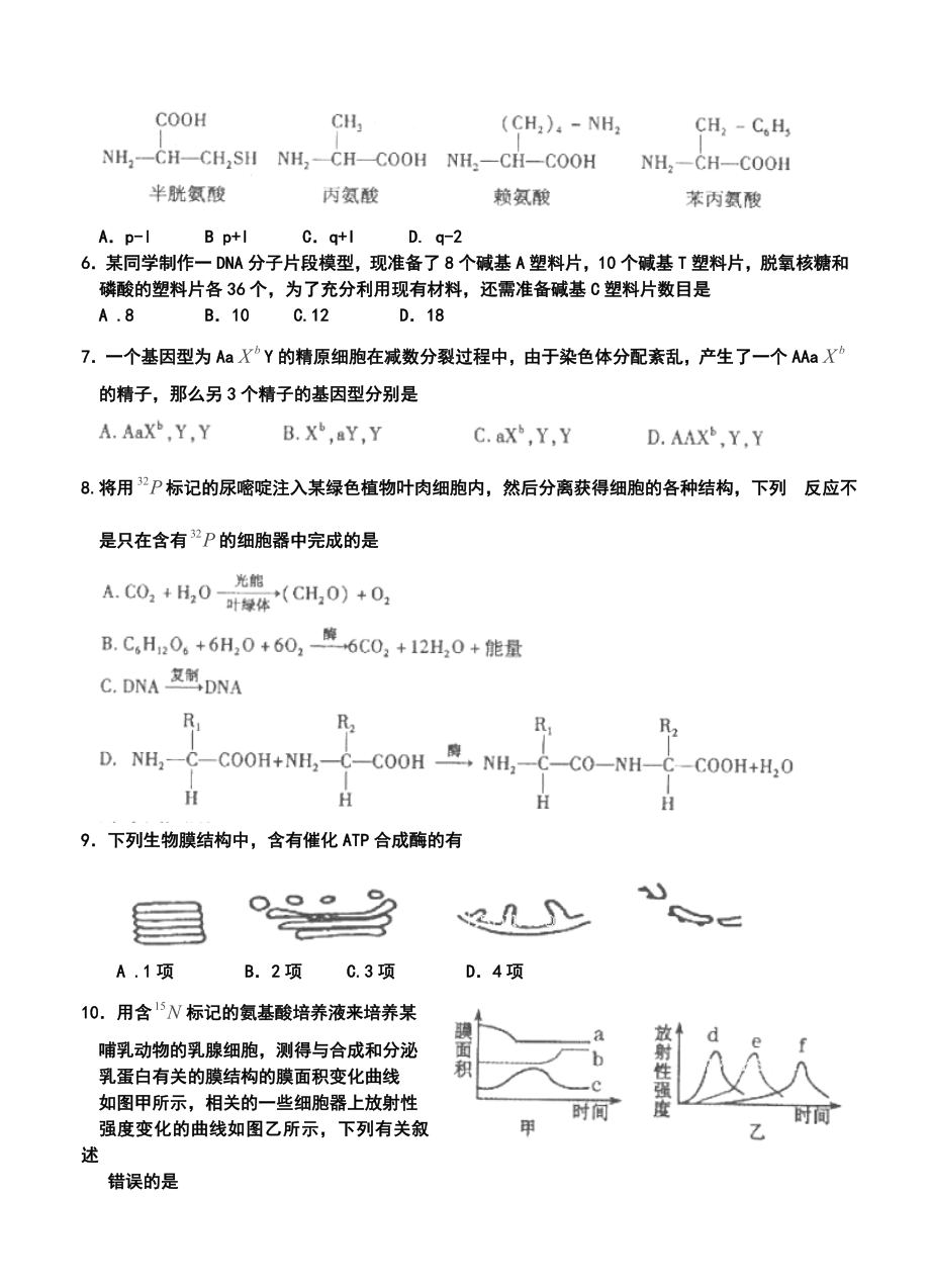 山东省枣庄市高三上学期期中检测生物试题及答案.doc_第2页