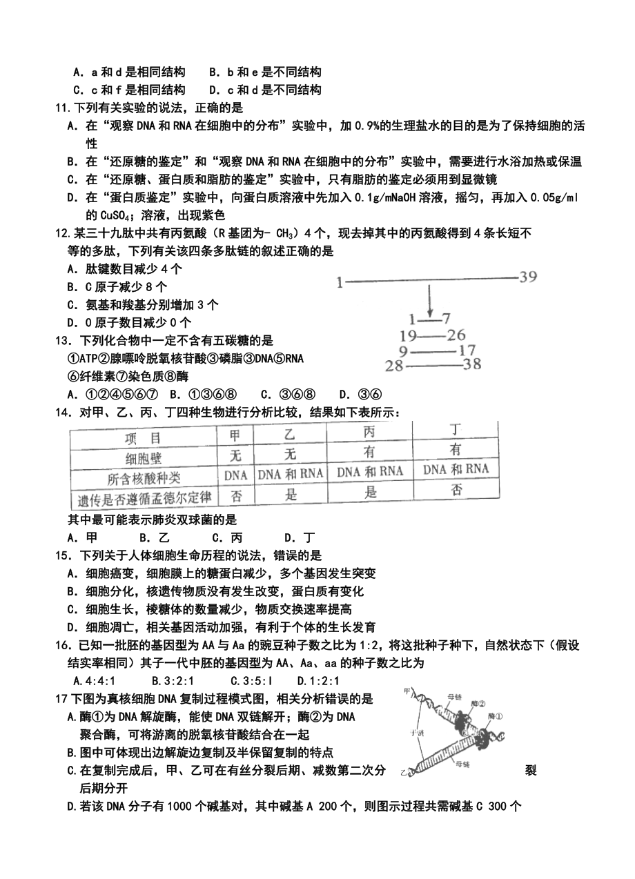 山东省枣庄市高三上学期期中检测生物试题及答案.doc_第3页