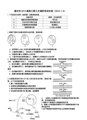 惠州市高三第三次调研考试生物试卷及答案.doc