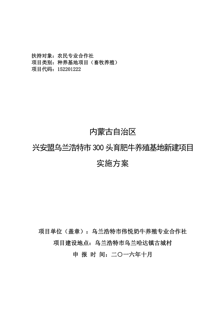 300头育肥牛养殖基地新建项目实施方案.doc_第1页