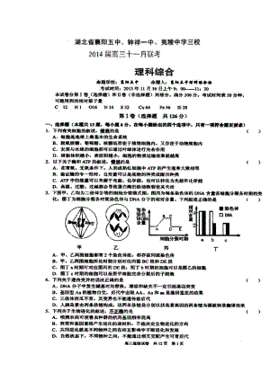 湖北省夷陵中学等三校高三11月联考理科综合试题及答案.doc