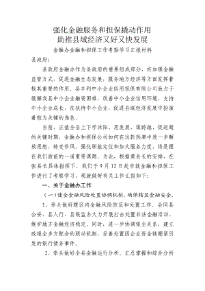 金融办金融和担保工作考察学习汇报材料.doc