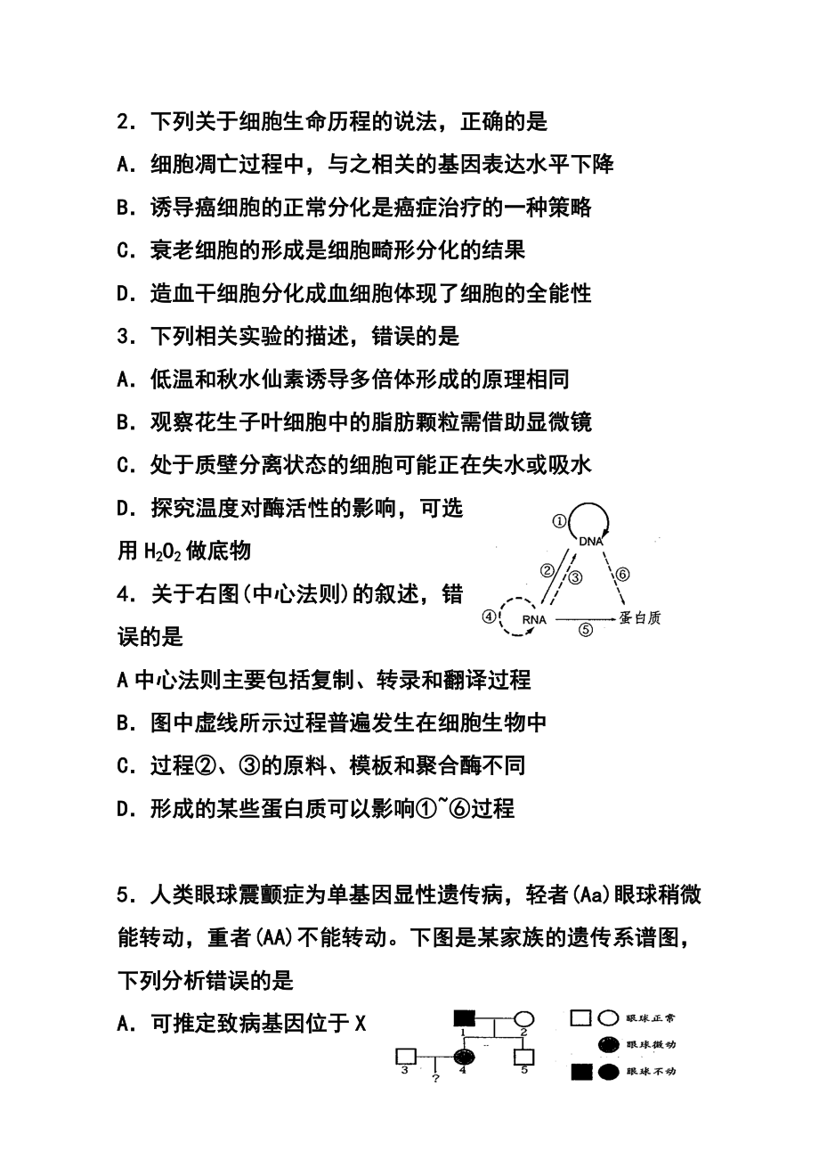 山东省淄博市高三下学期第一次模拟考试理科综合试题 及答案.doc_第2页