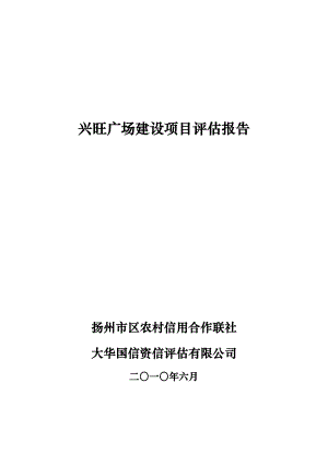 xx项目贷款评估方案报告.doc