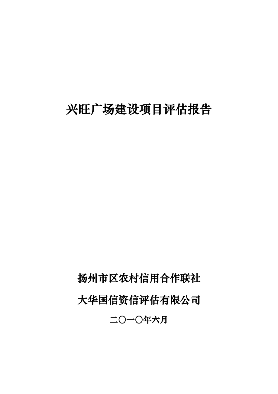 xx项目贷款评估方案报告.doc_第1页