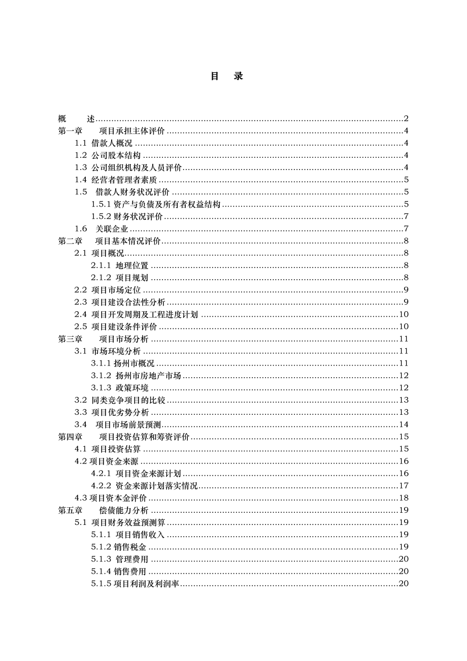 xx项目贷款评估方案报告.doc_第2页