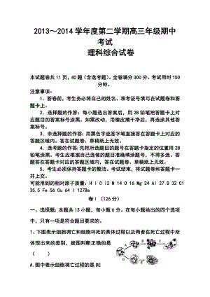 河北省衡水中学高三下学期期中考试理科综合试题及答案.doc