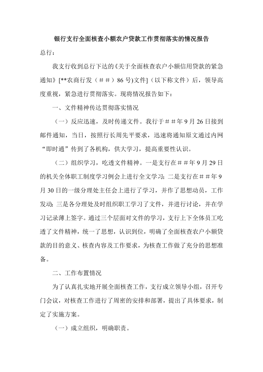 银行支行全面核查小额农户贷款工作贯彻落实的情况报告.doc_第1页