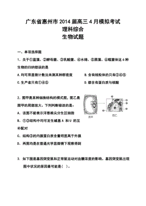 广东省惠州市高三4月模拟考试理科综合试题及答案.doc