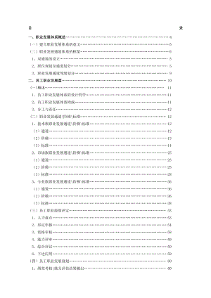 XX公司职业发展体系管理者手册.doc