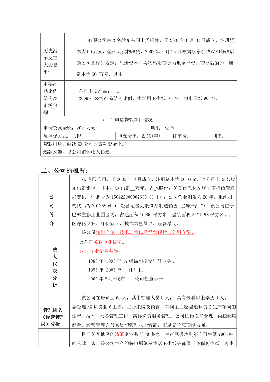 银行对公司贷款评审报告.doc_第2页