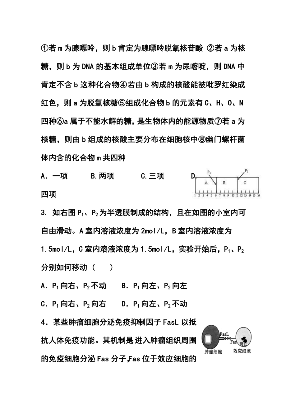 山西省山大附中高三上学期期中考试生物试题及答案.doc_第2页