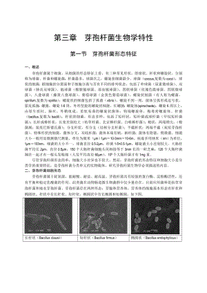 第三章芽孢杆菌生物学特性.doc